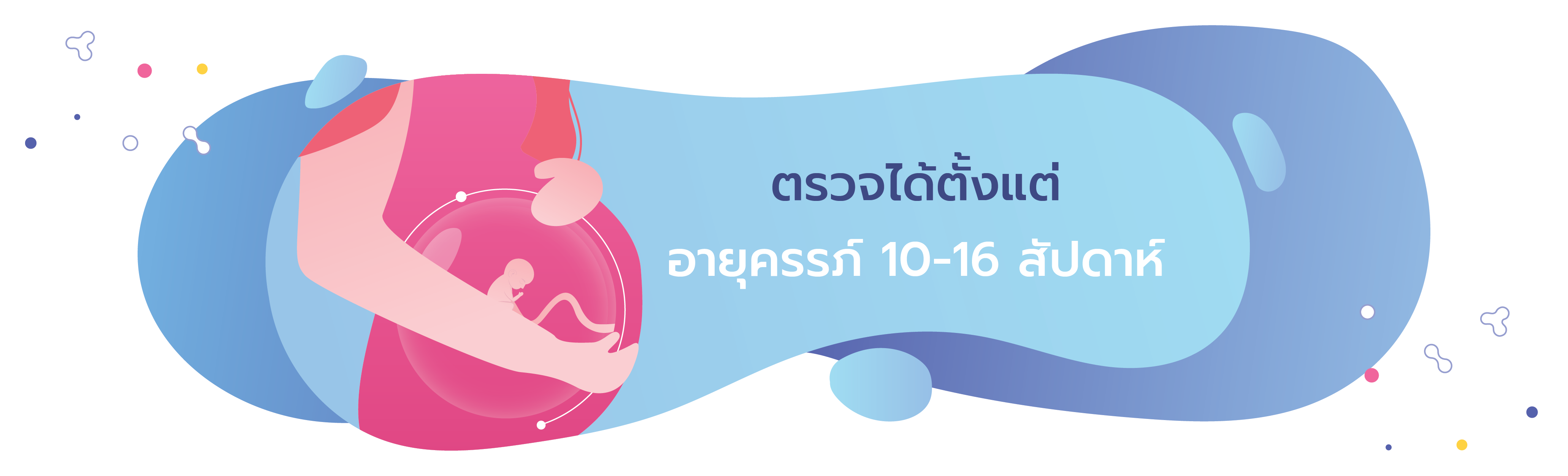 web banner-02