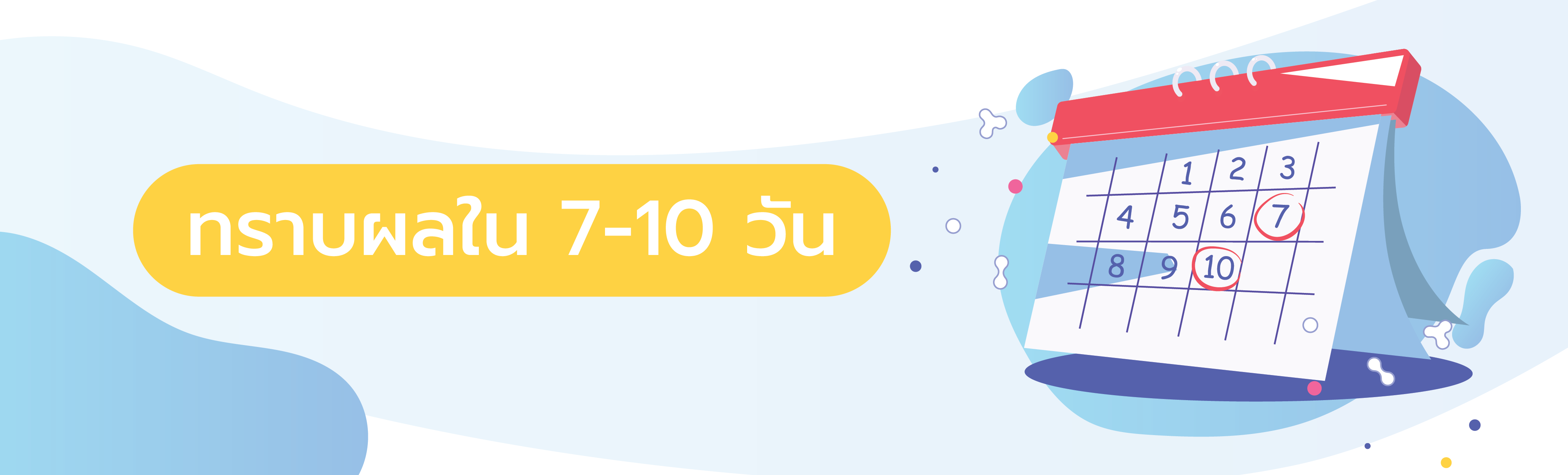 web banner-03